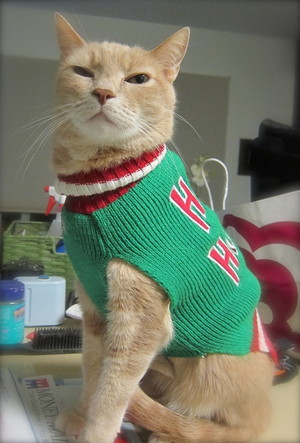  Weihnachten Sweater Model