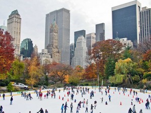  Ice Skating In Central Park