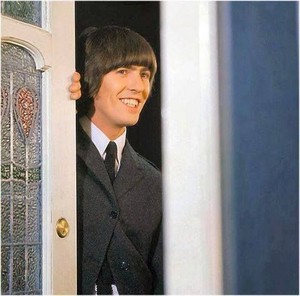  Come in, George! 💕