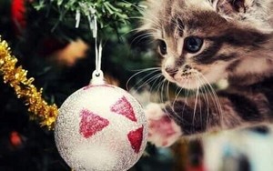 Merry クリスマス my so cutie Liana hunnie❄️🎄💖
