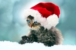  Merry クリスマス my so cutie Liana hunnie❄️🎄💖