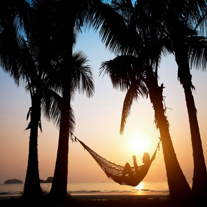  Relaxing sa pamamagitan ng The Palm Trees