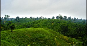  Sreemangal, バングラデシュ