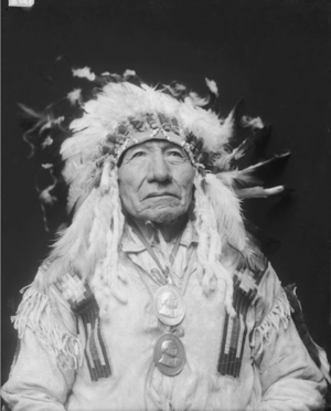  Apeyohantanka aka Big Man of Mane (Dakota Brulé) Gill - FEB 1913