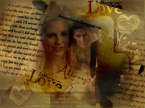  Buffy/Angel پیپر وال - Falling In Love