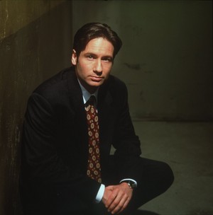  여우 Mulder