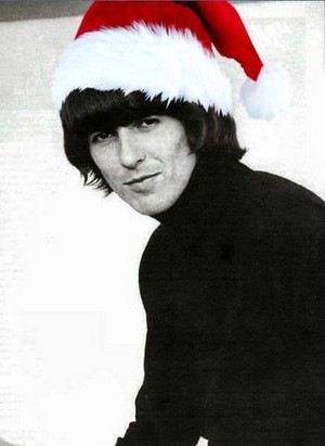  George in a Santa hat...enough said! 😍