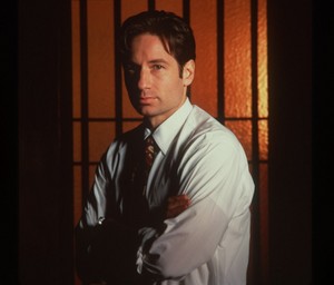  Mulder
