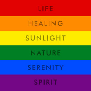 rainbow gay pride flag quote