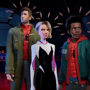  con nhện, nhện man into the spider-verse