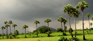  Palakkad, India