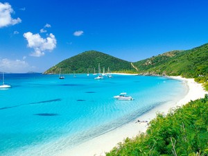  The Virgin Islands