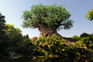  树 of Life (Disney's Animal Kingdom)
