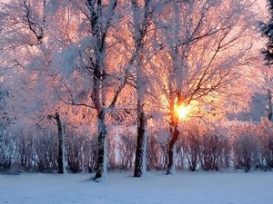  beautiful winter time⛄️❄️💖