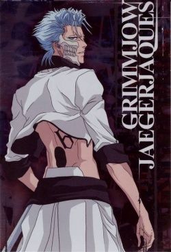  *Grimmjow Jeagerjaques *