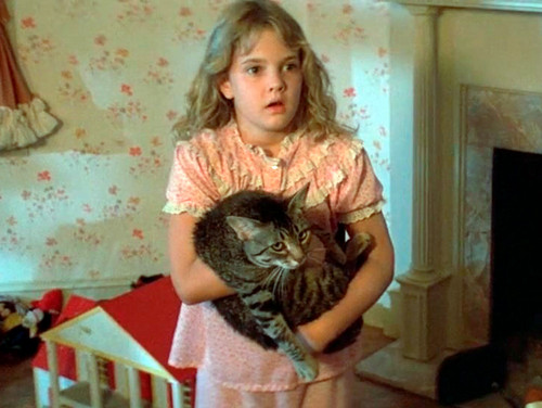 1985 Film, Cat's Eye - Cats Photo (42078405) - Fanpop