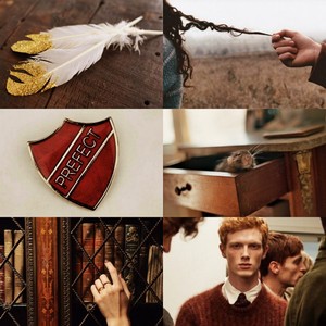  Ron/Hermione Fanart