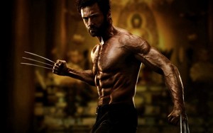  Wolverine fondo de pantalla