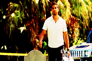  CSI: Miami ~ From the Grave
