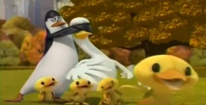  Kowalski Covers The Mother Duck's Eyes