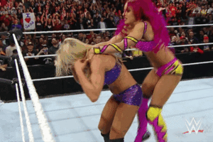  Sasha Banks vs шарлотка, шарлотта Flair