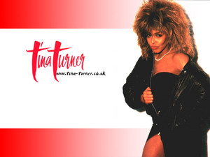  Tina Turner