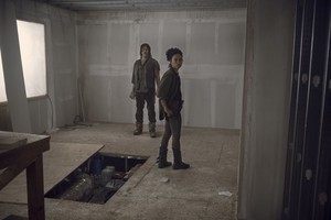 9x13 ~ Chokepoint ~ Daryl and Connie