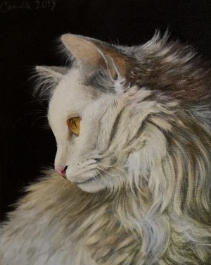  Beautiful बिल्ली In Art