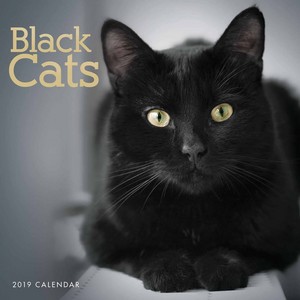  Black Cat Calender