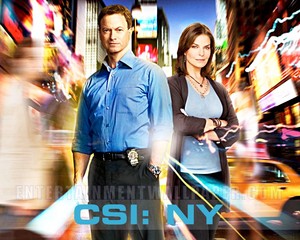  CSI: NY