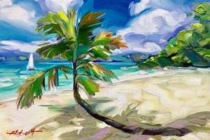  Coconut Palm pohon