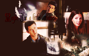  Doyle/Cordy wallpaper - Maybe I'm A Little Attracted