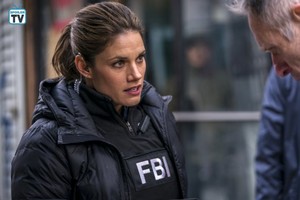  FBI ~ 1x13 "Partners in Crime"