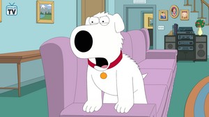  Family Guy ~ 17x04 "Big Trouble in Little Quahog"