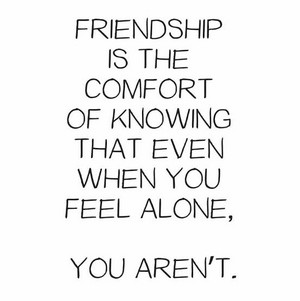  Friendship Quote
