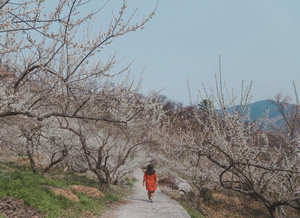  Gwangyang, Korea