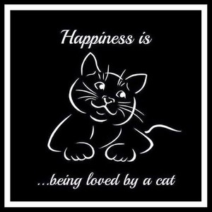  Happiness is...😻