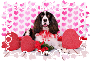  Happy Valentine's día Kat ❤️