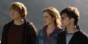  Harry Potter and The Deathly Hallows pt 1