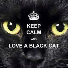  Keep Calm And Live A Black Cat