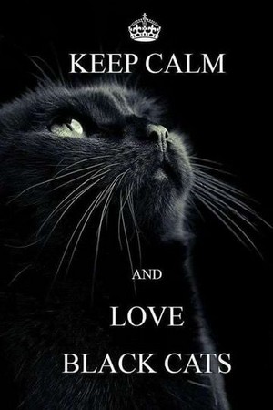  Keep Calm And प्यार Black बिल्ली