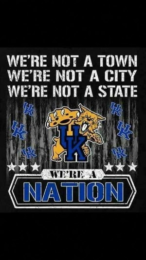  Kentucky Wildcats!
