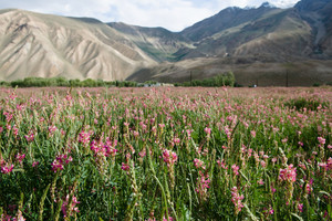  Khorog, Tajikistan