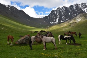  Kyzyl Suu, Kyrgyzstan