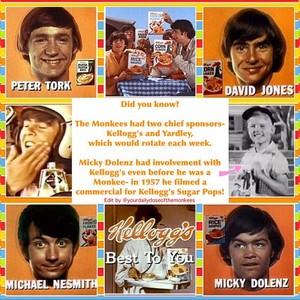  Monkees fact💛