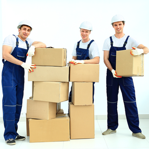  Movers and Packers in Jalandhar | 7837266600