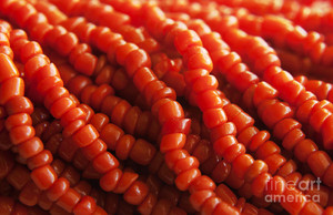  jeruk, orange Coral Beads