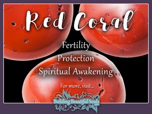  Significance Of Red Coral