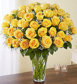  Yellow Roses For Our Friendship