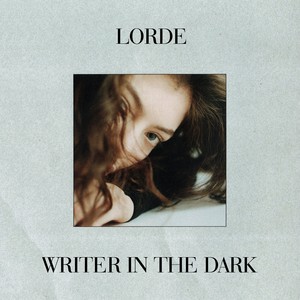 writer in the dark